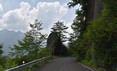 山鳥さん　御不在でした