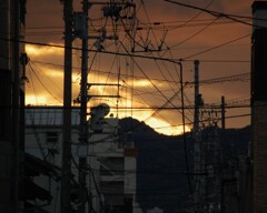 夕暮れ　送電網