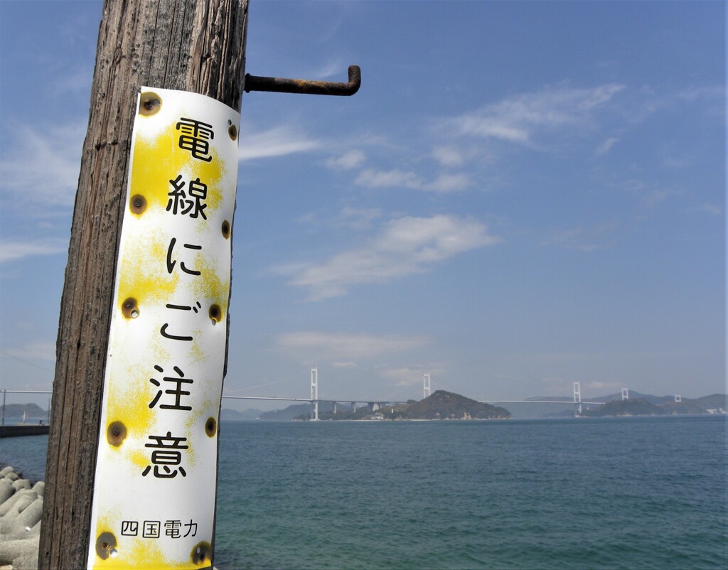 木製電柱
