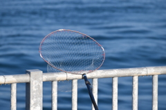 深瀬釣名人さん