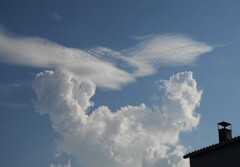 お暑かった一日