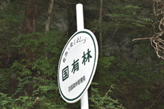 山中