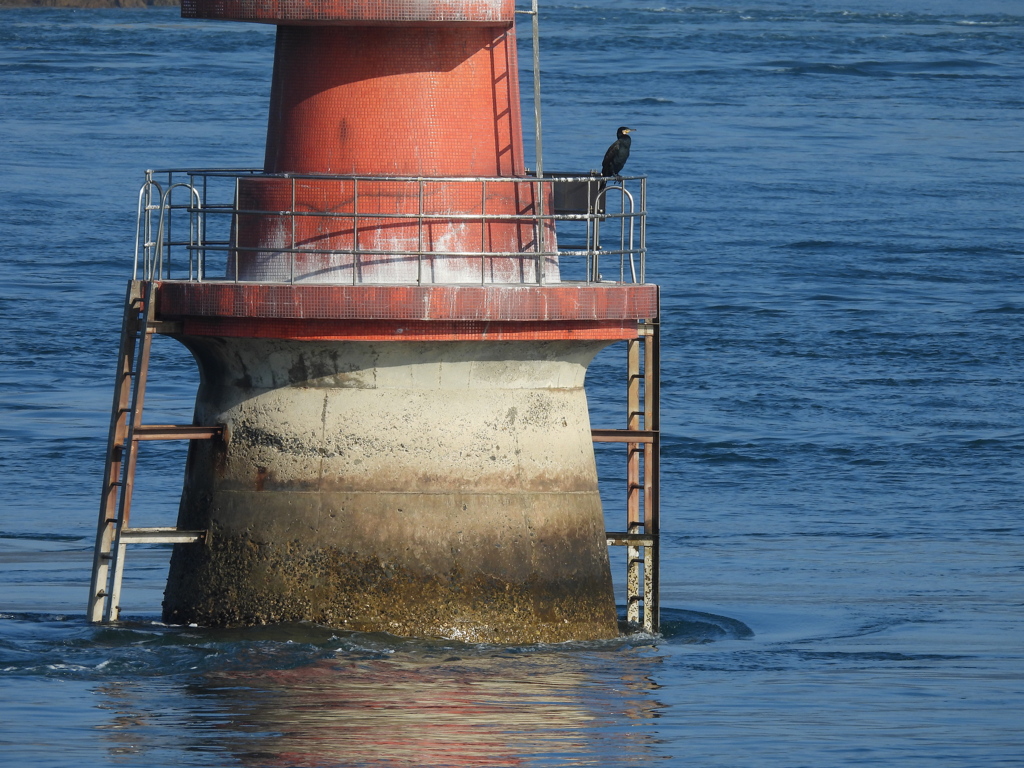灯標　そして　鵜
