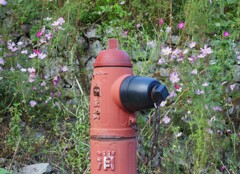 回転式消火栓