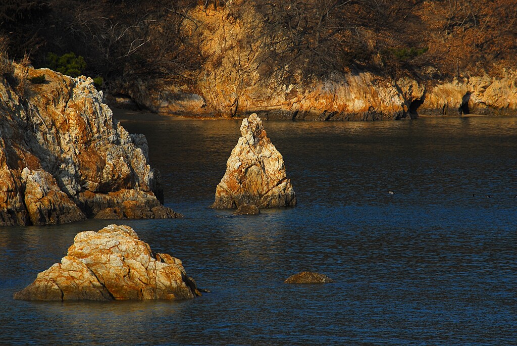 カブトガニ海岸界隈