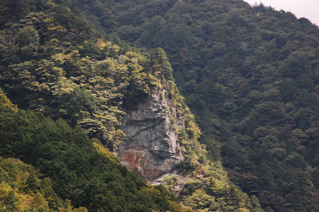 四国山地