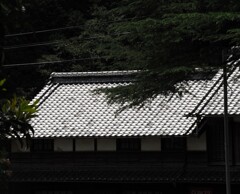 猛暑　瓦