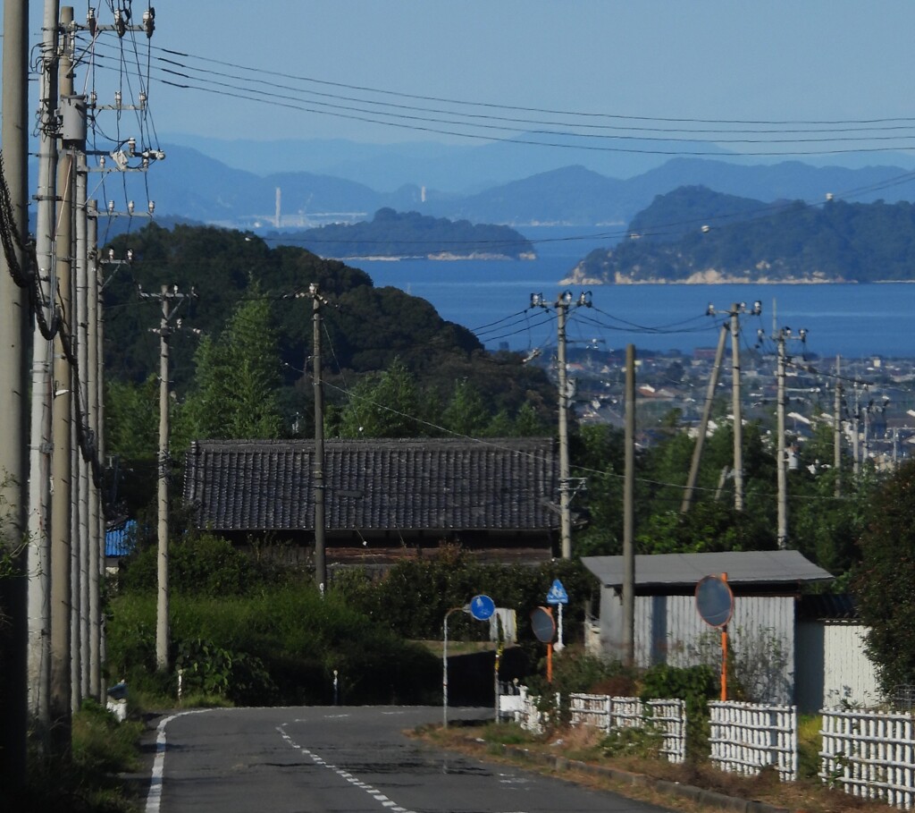 段丘　燧灘　吊橋