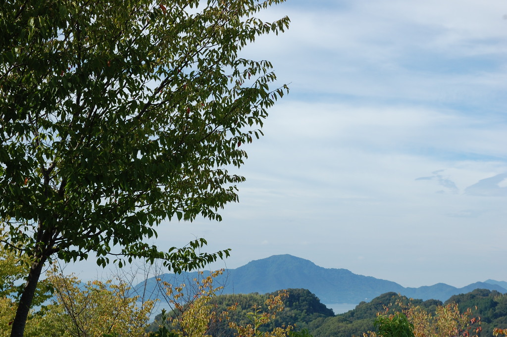 斎灘