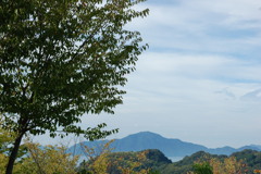 斎灘