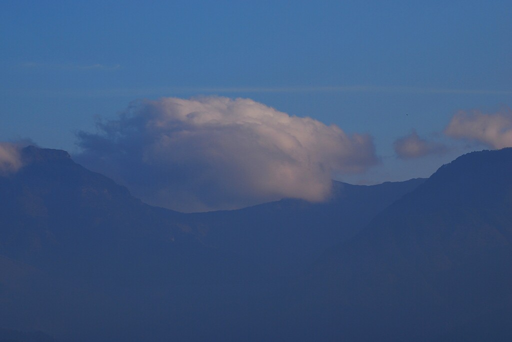 桑瀬峠　季節風の通り道