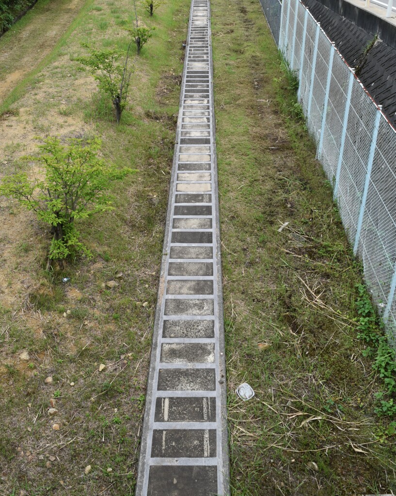 軌道跡