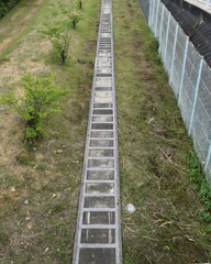 軌道跡