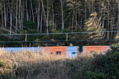 予讃線　そして　西日