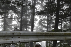 標高１０００ｍ手前