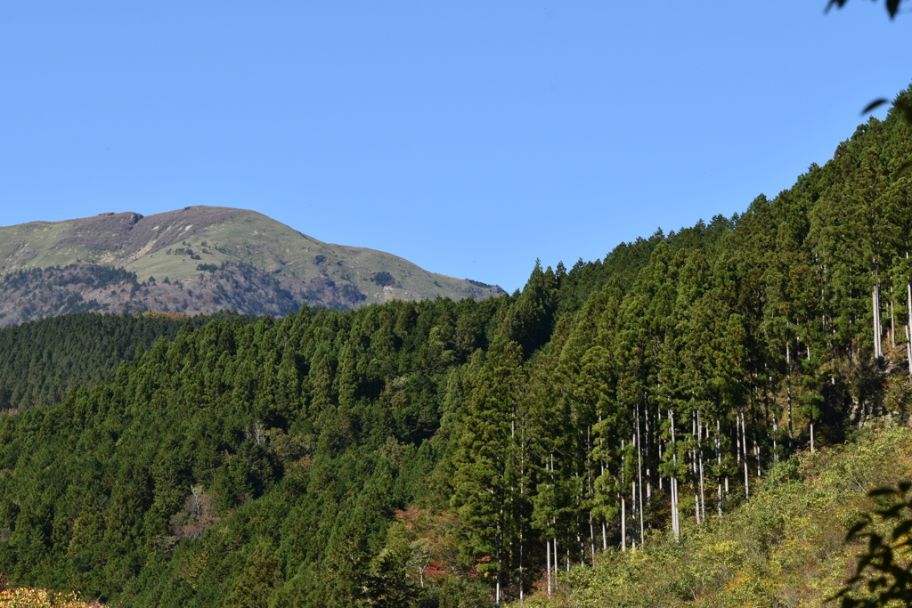 笹ヶ峰