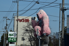ゴリラさん