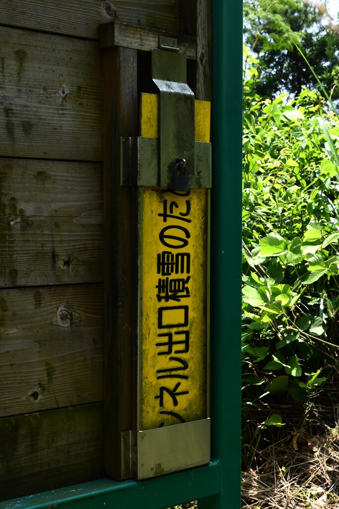 厳冬期の記憶
