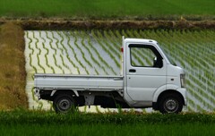 田圃