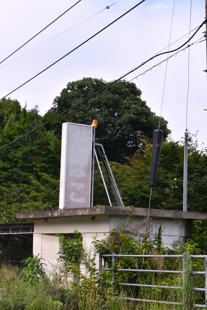 自販機群