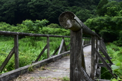 橋