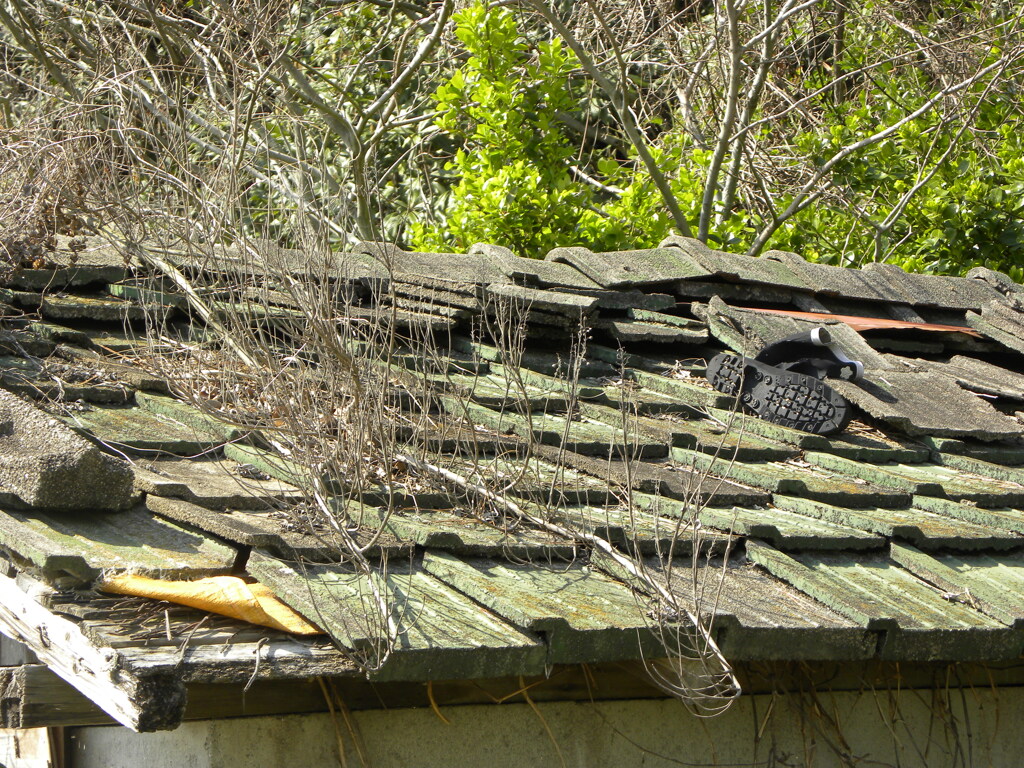 コンクリート瓦　と　陽光