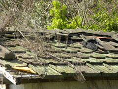 コンクリート瓦　と　陽光