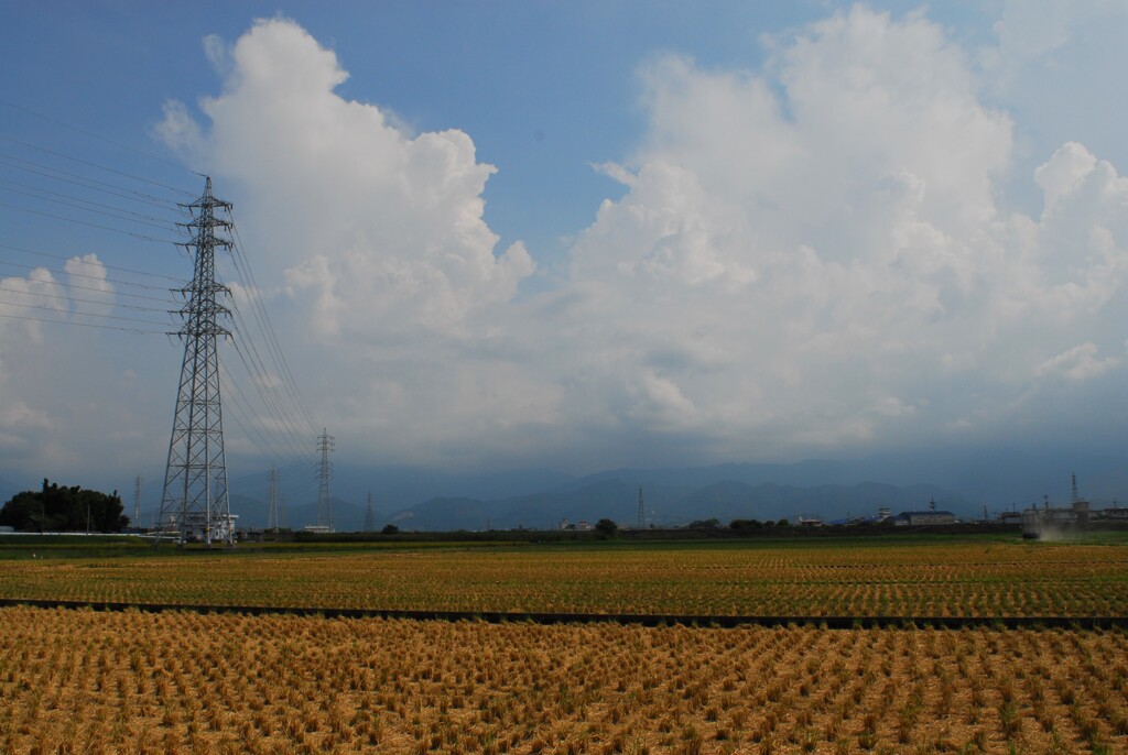 刈田
