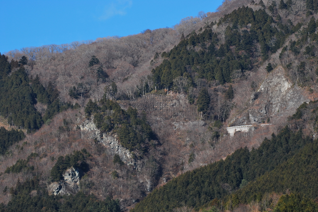基幹林道　標高千メートル程