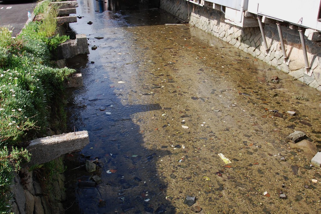 川辺