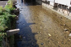 川辺