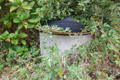 海辺　井戸