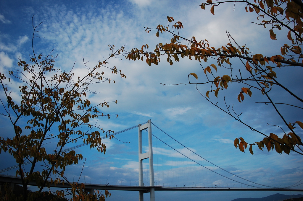 秋空