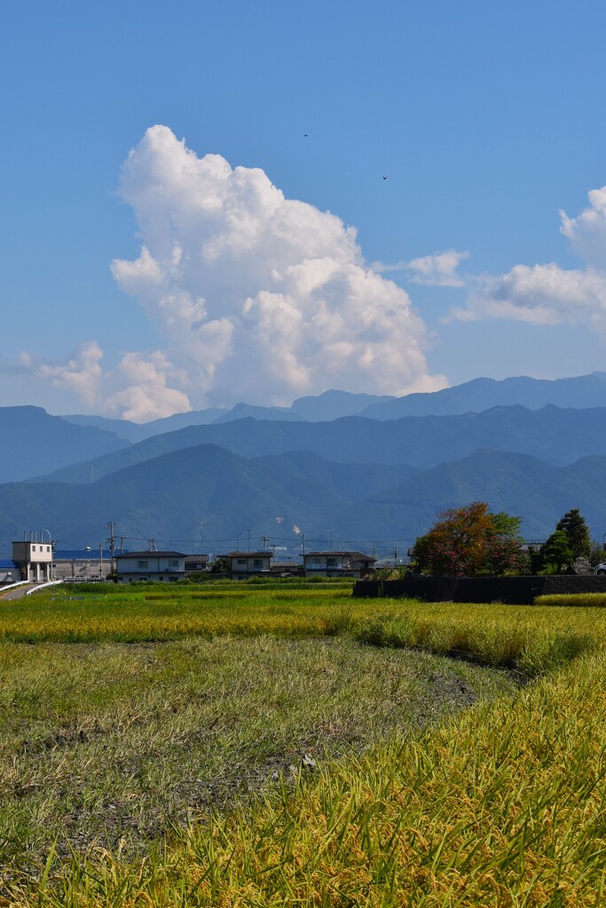 高縄山地
