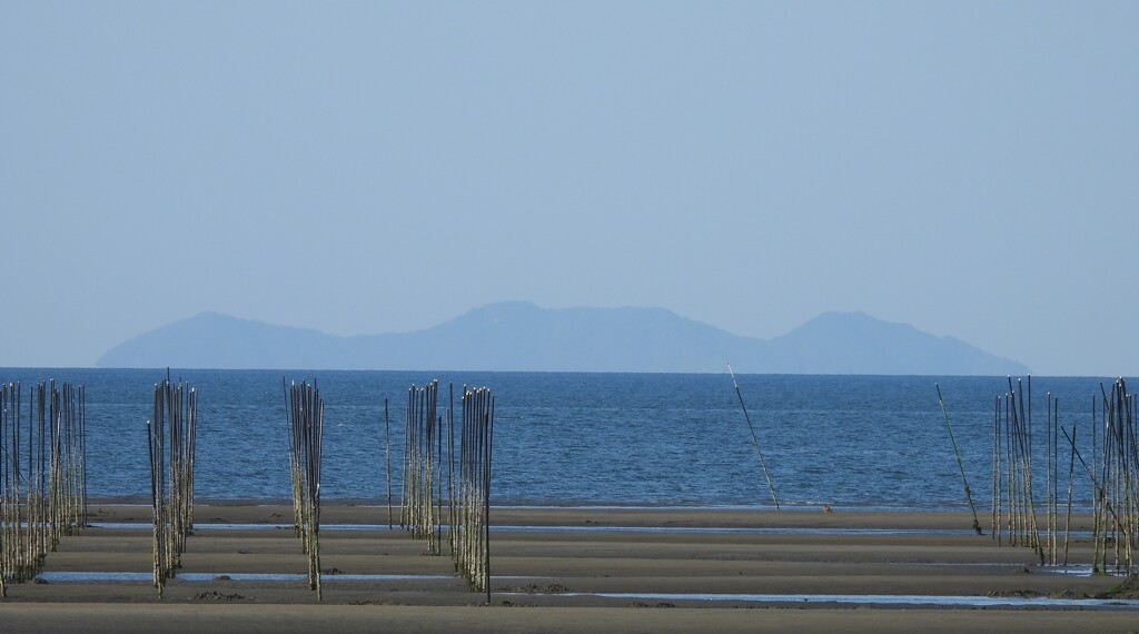 潮干狩り日和
