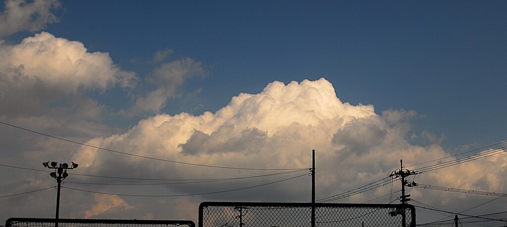 厳冬　夜明け頃