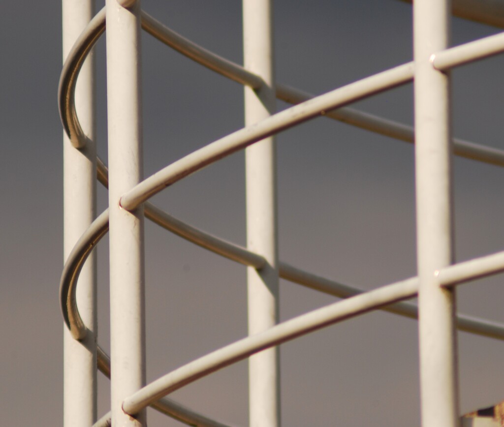 輸入レンズ　色合