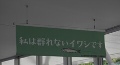 鰯さん