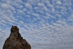 カブトガニ海岸