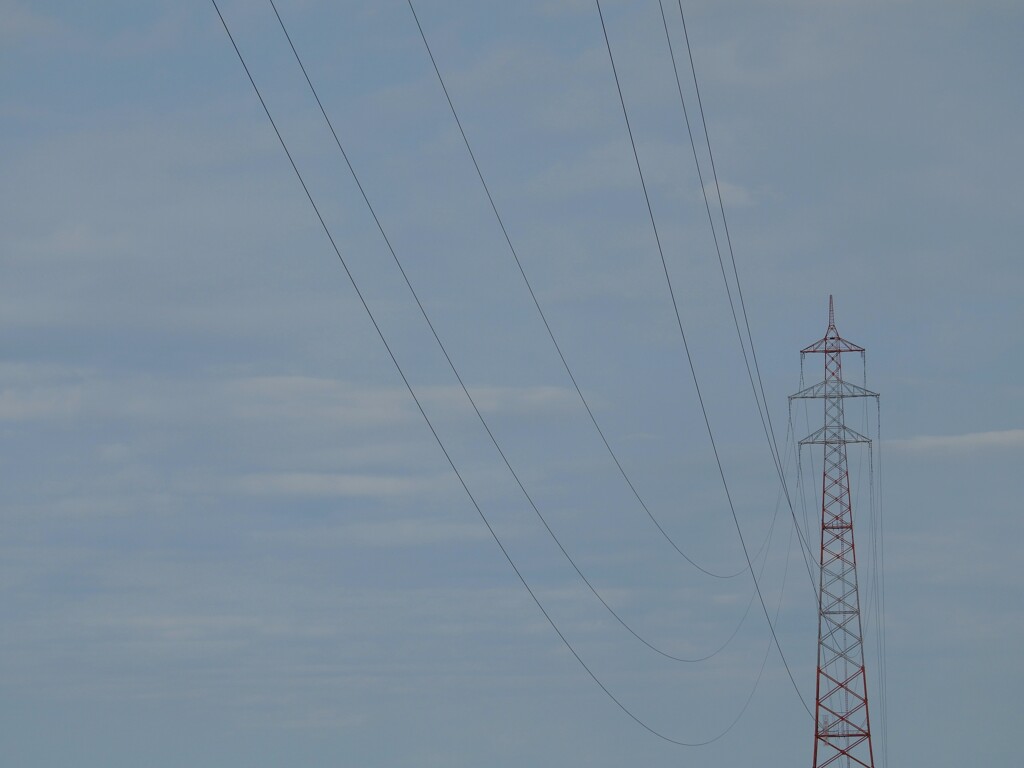 送電網