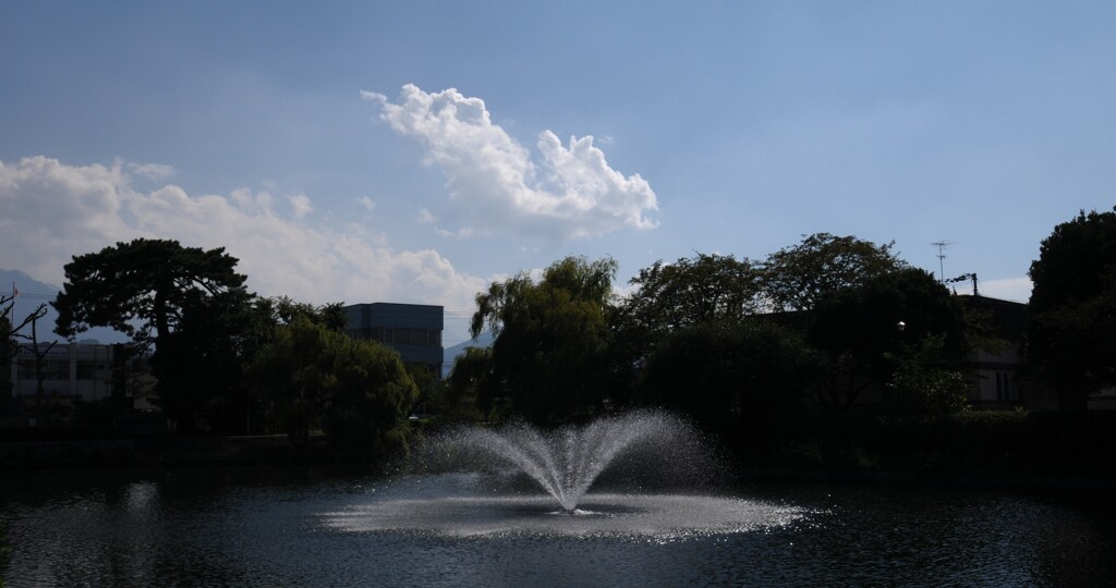 お濠　夏の頃