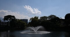 お濠 夏の頃 お濠 夏の頃
