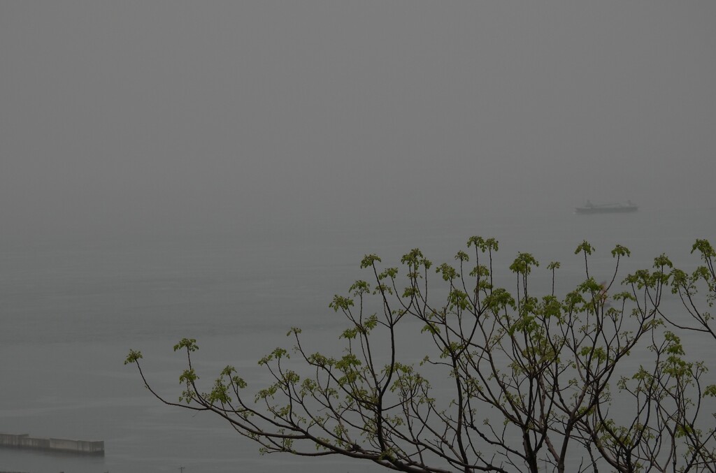 雨日　斎灘