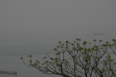 雨日　斎灘