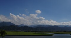 干拓地　収穫間近