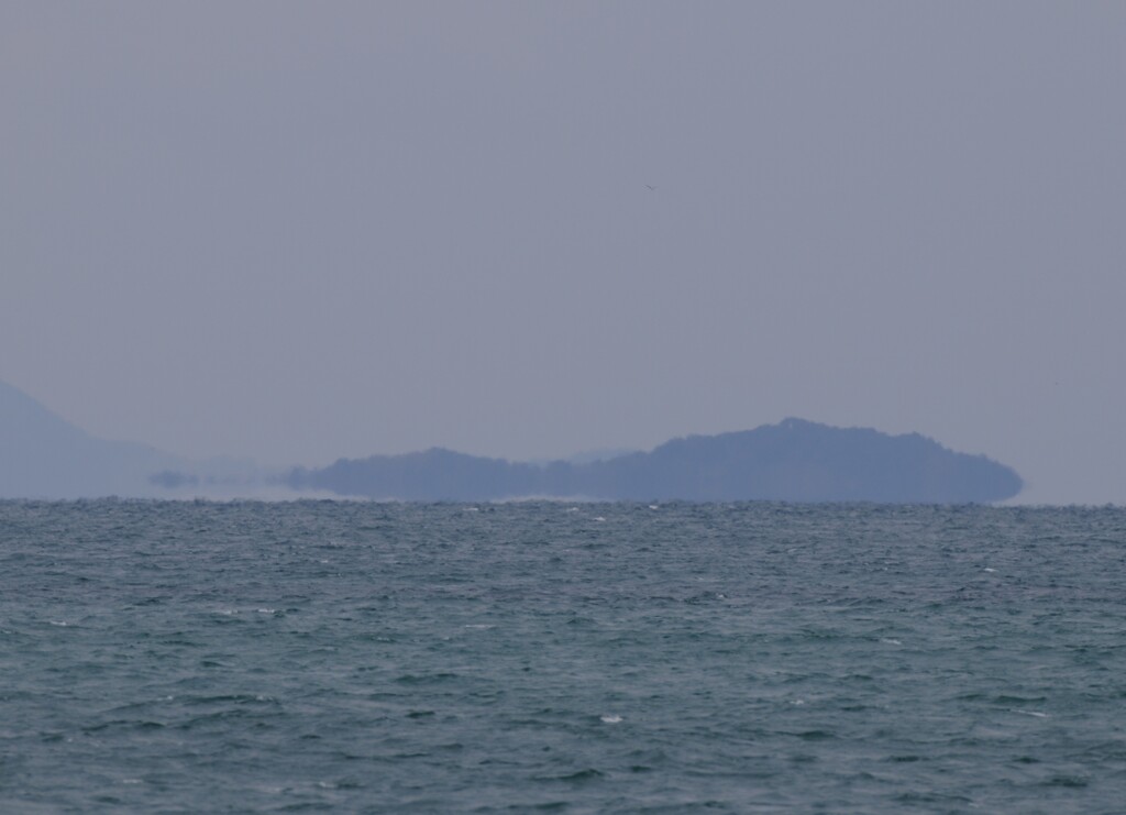 斎灘　浮島