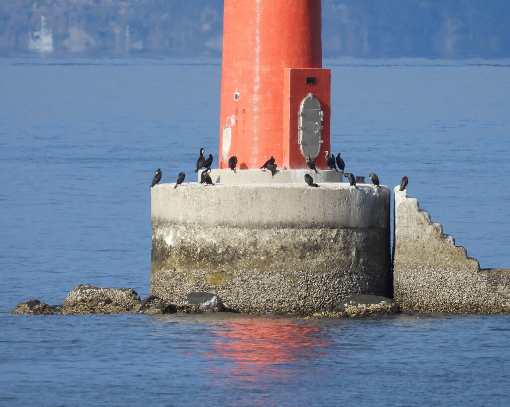 灯標　そして　鵜