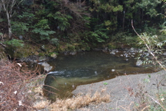 仁淀川　上流
