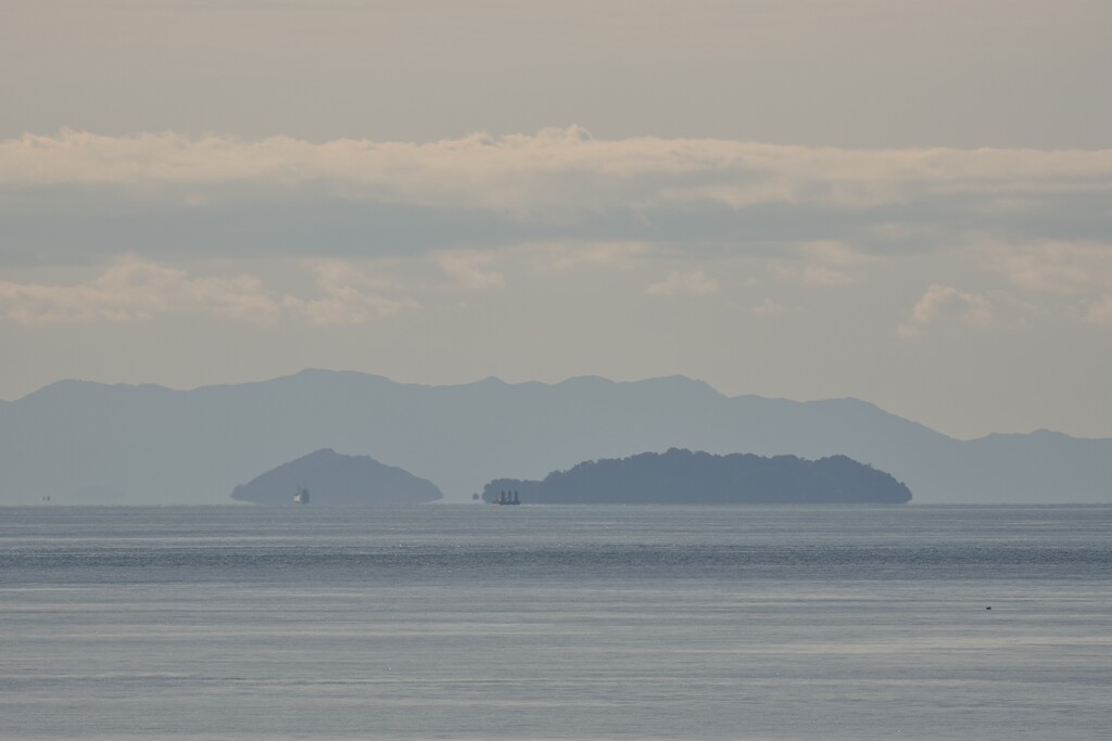 斎灘　浮島