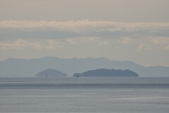 斎灘　浮島